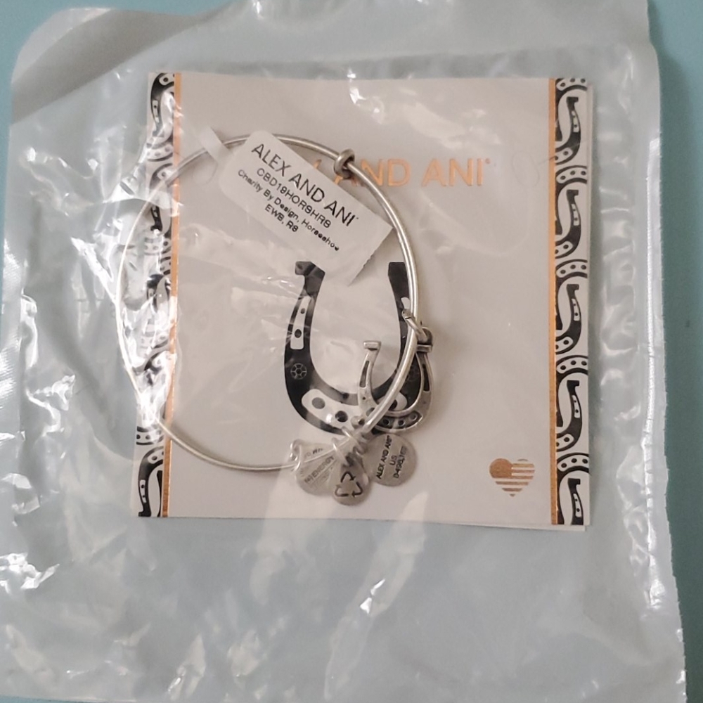 Brand New Alex and Ani Silver Bracelet